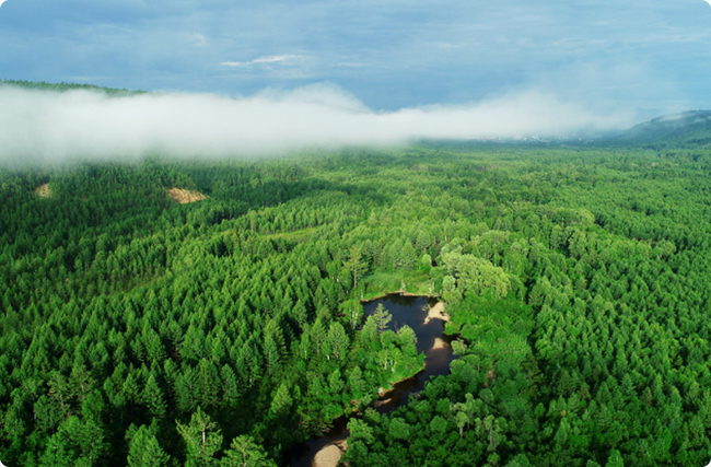 ֘I̼RĿxָϣx̼R־W