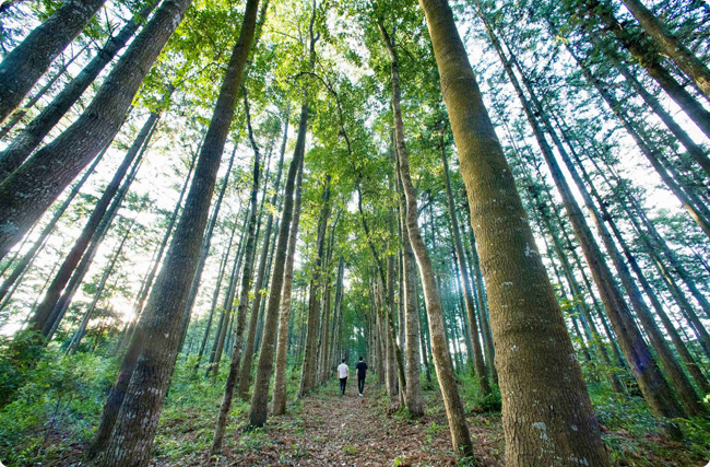 ̼R壺ġuľ^u՚⡱ľGɫ͑׃