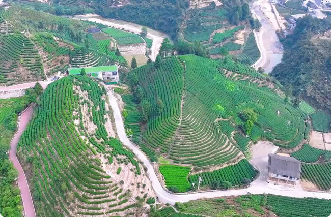 r(nng)I(y)(ji)ˮ̼R, K̼R, ݽ, S̼Ʊ